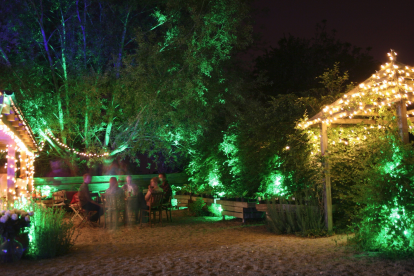 Colourful uplighters were placed in the foliage 